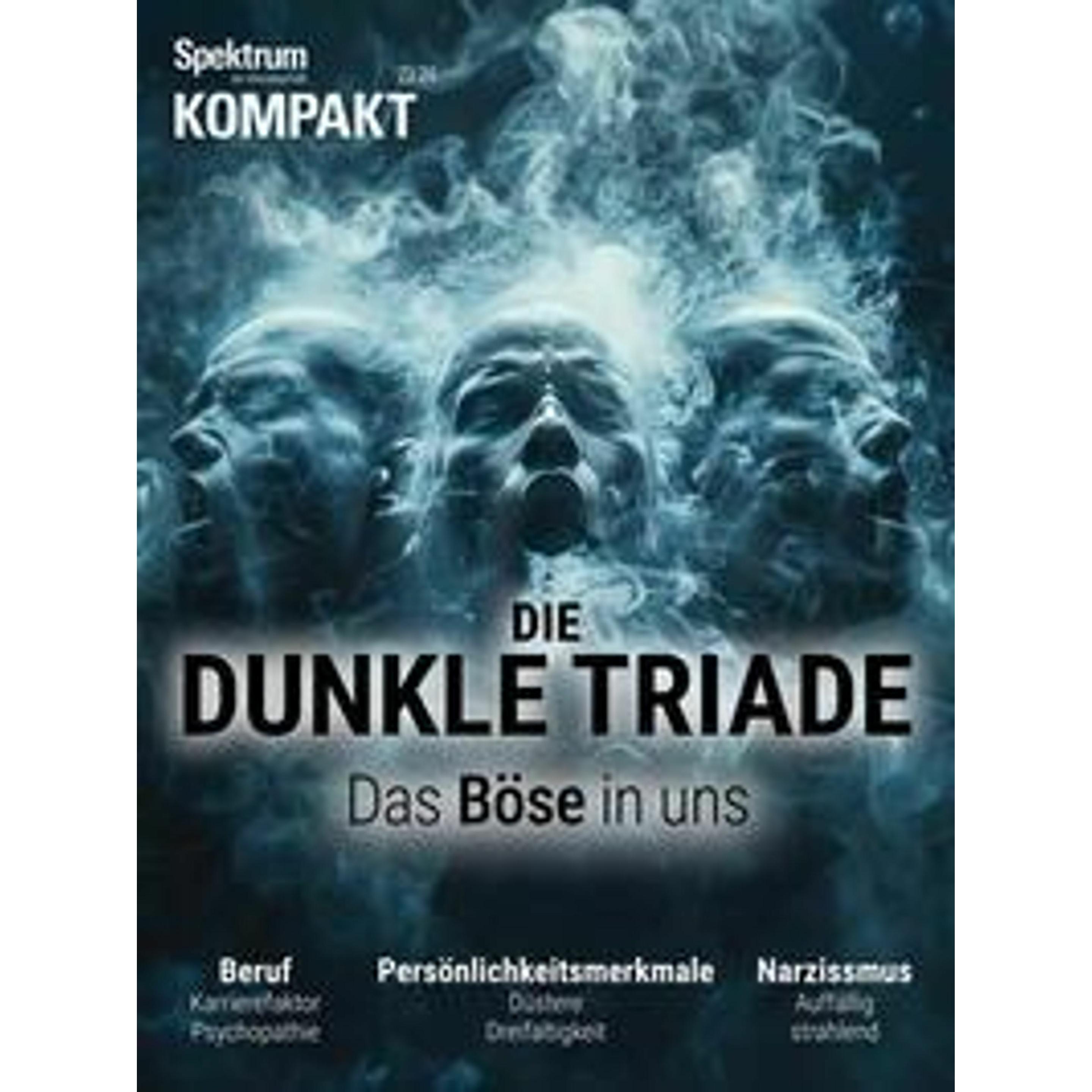 Springer Spektrum der Wissenschaft:Spektrum Komp