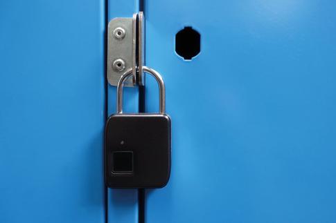 Actual product image Schwaiger Fingerprint lock