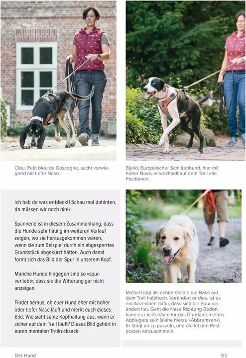 Immagine prodotto Go. Find. Folge der Freude (Tedesco, Christina Blessmann, Susanna Simon, 2022)