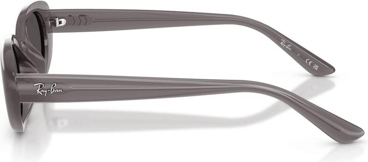 Produktbild Ray Ban RB4441D