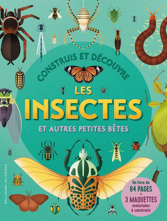 Image du produit Construis et découvre les insectes : et autres petites bêtes (Français, Collectif, 2022)