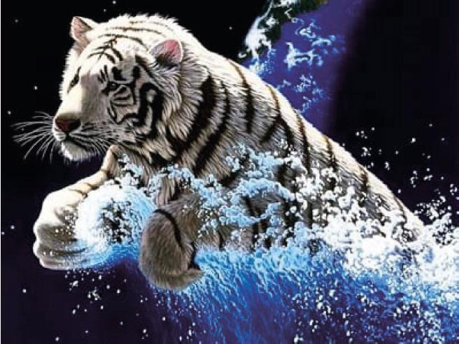 Produktbild Pracht Diamond Painting Tiger