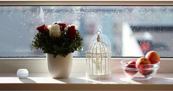 Productafbeelding Shelly WLAN vocht- en temperatuursensor