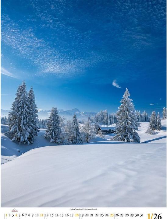 Image du produit Swiss Photo Poster 2026 (50 x 68 cm, Allemand)