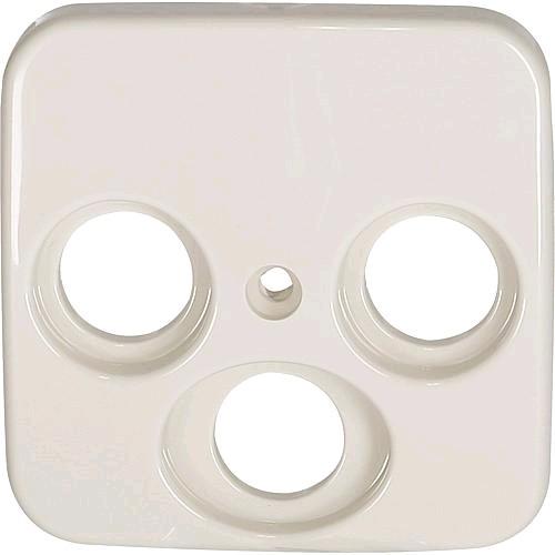 Produktbild Busch-Jaeger Zentralscheibe