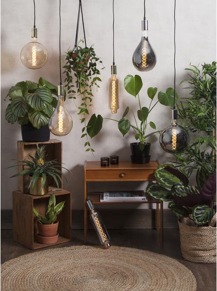 Actual product image Star Trading G200 Industrial Vintage (E27, 6 W, 110 lm, 1 x, B)