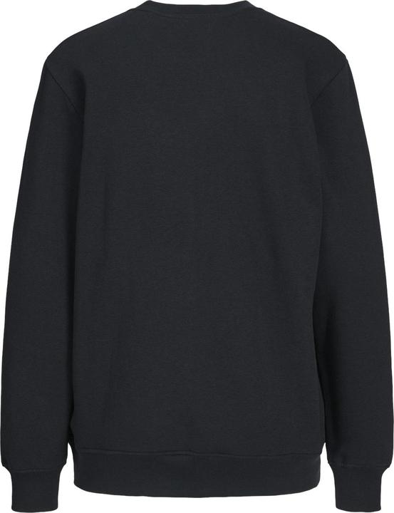 Produktbild JJXX JXAbbie Langarm- Sweatshirt (XL)