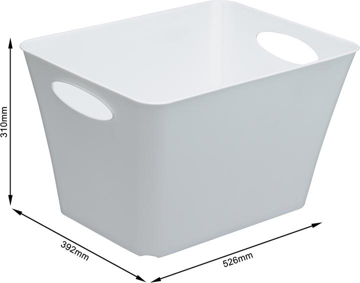 Image du produit Rotho Livingbox (39.5 x 31 x 52.5 cm, 44 l)