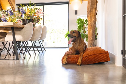 Image du produit Designed by Lotte Coussin de couchage Ribbed (Chien)