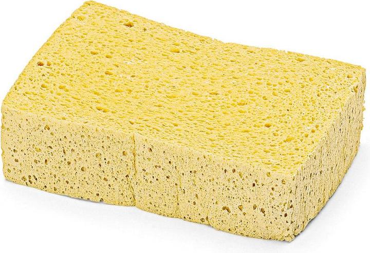 Actual product image Nölle Sponge, 1 pc. (1 pcs.)
