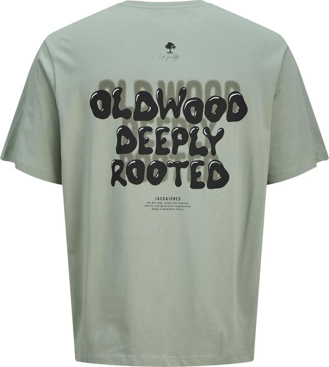 Image du produit Jack & Jones Gedruckt T-shirt Junior T-shirt (176)