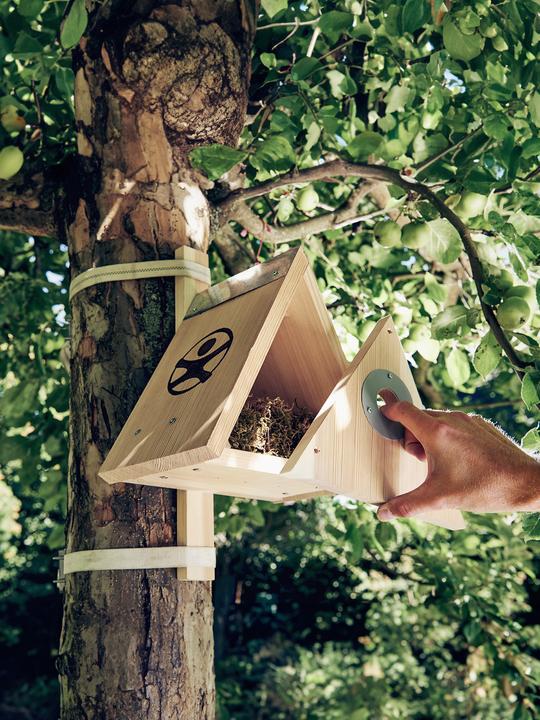 Actual product image Haba Terra Kids Nesting Box Kit