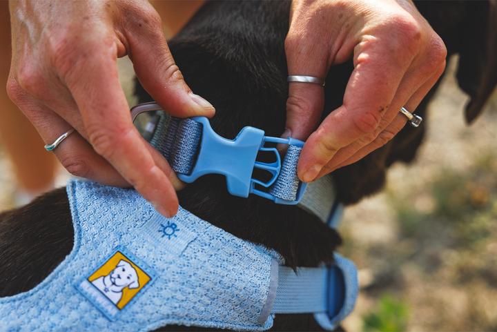 Produktbild Ruffwear Front Range Flex (S, Hund)