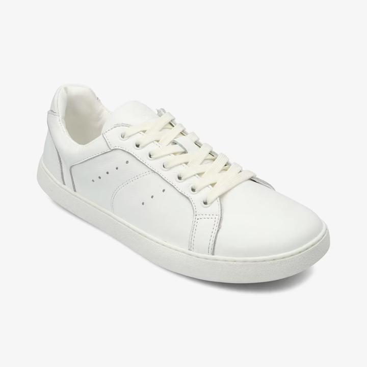 Produktbild Groundies Universe (37)