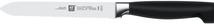 Produktbild Zwilling Vier Sterne (13 cm)