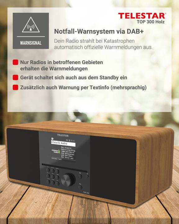 Produktbild Telestar Top 300 (DAB+, FM, Bluetooth, WLAN)