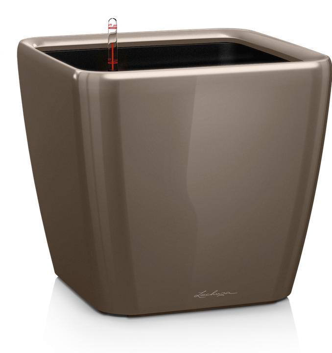 Lechuza Quadro LS (35.50 x 35.50 x 32.50 cm)