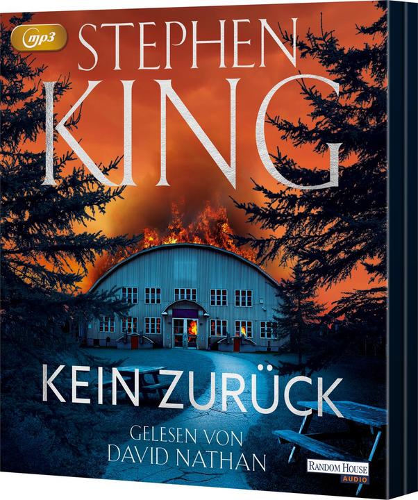 Actual product image No turning back (Stephen King, German)