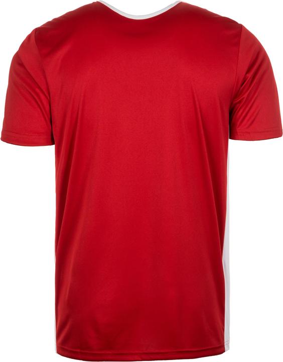 Produktbild adidas Entrada 18 Fussball (S)