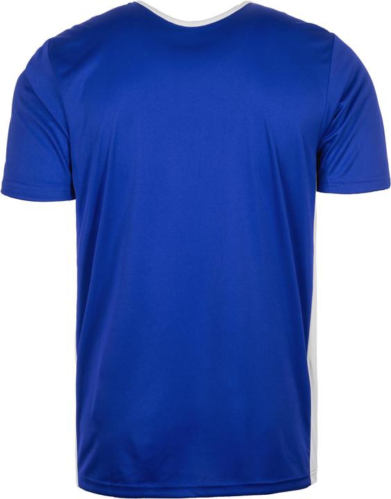 Produktbild adidas Entrada 18 Fußballtrikot Herren (S)