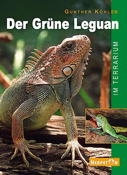 Produktbild Der Grüne Leguan im Terrarium (Deutsch, Gunther Köhler, 2001)
