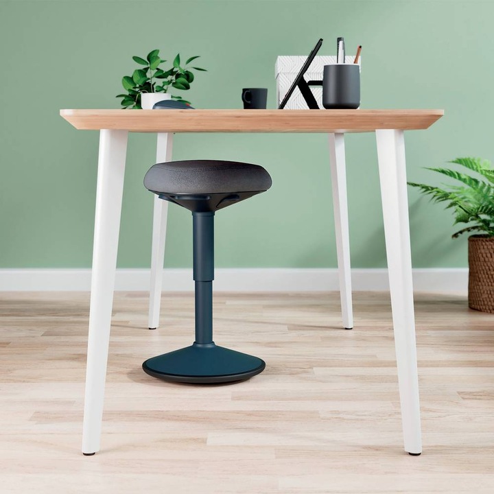 Image du produit Leitz Ergo Active