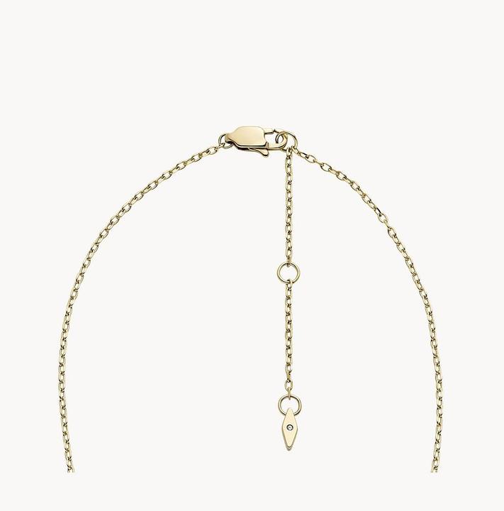 Image du produit Fossil Collier Drew (Acier inoxydable, 42 cm)
