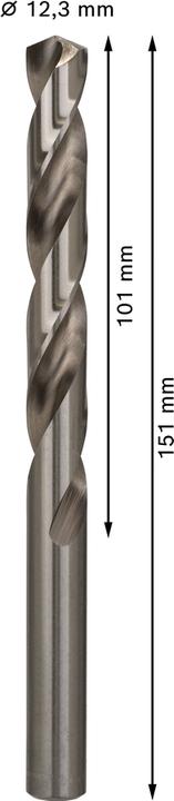 Immagine prodotto Bosch Professional Zubehör Trapano PRO Metal HSS-G, 12,3 x 101 x 151 mm (12,3 mm)