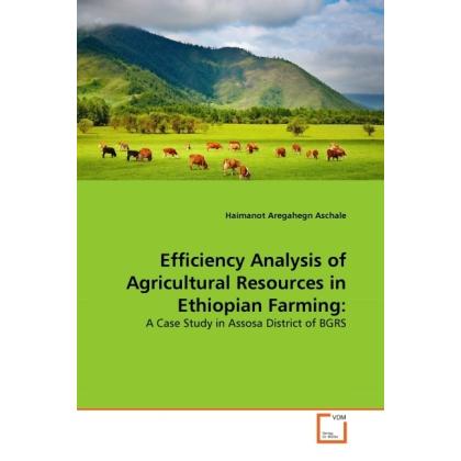 Efficiency Analysis of Agricultural Resources in Ethiopian Farming:, Fachbücher von Haimanot Aregahegn Aschale