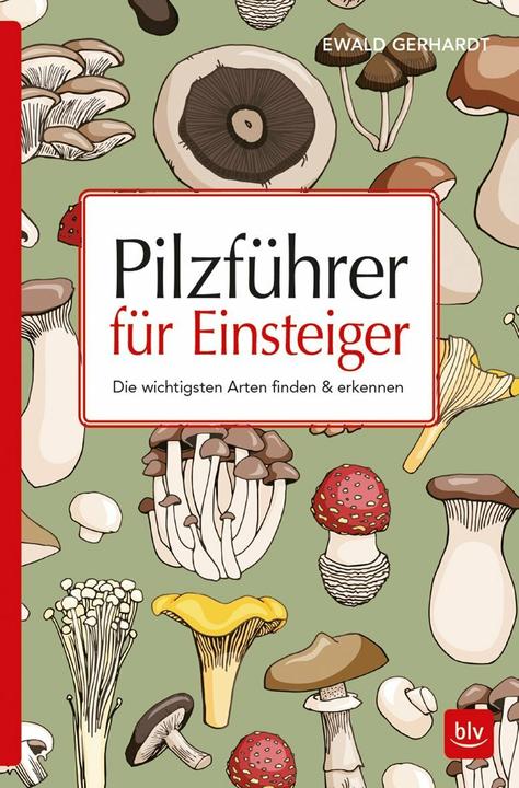 Produktbild Pilzführer für Einsteiger (Deutsch, Ewald Gerhardt, 2018)