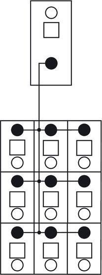 Immagine prodotto Wago Modulo distributore potenziale