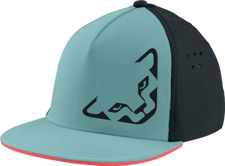 Dynafit Tech Trucker Cap (58)