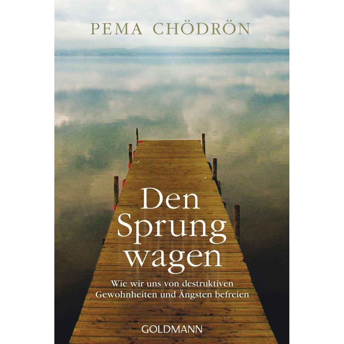 Den Sprung wagen, Ratgeber von Pema Chödrön