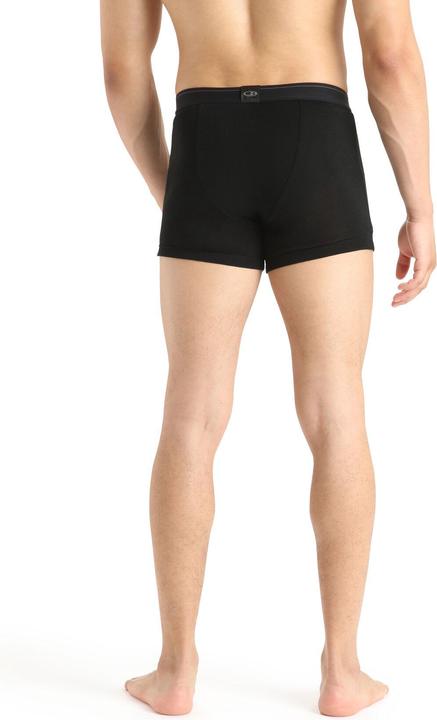 Actual product image Icebreaker Everyday (XXL)