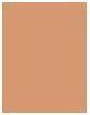 Productafbeelding Erborian BB Creme Dore (Gouden)