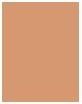 Produktbild Erborian BB Creme Dore (Doré)