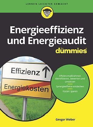 Actual product image Energy efficiency and energy audits for dummies (German)