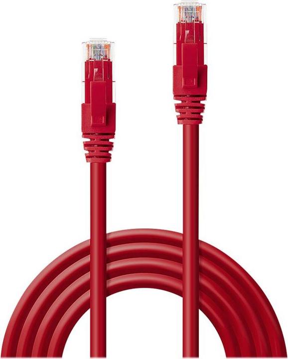 Actual product image Lindy Network cable (UTP, CAT6, 0.30 m)