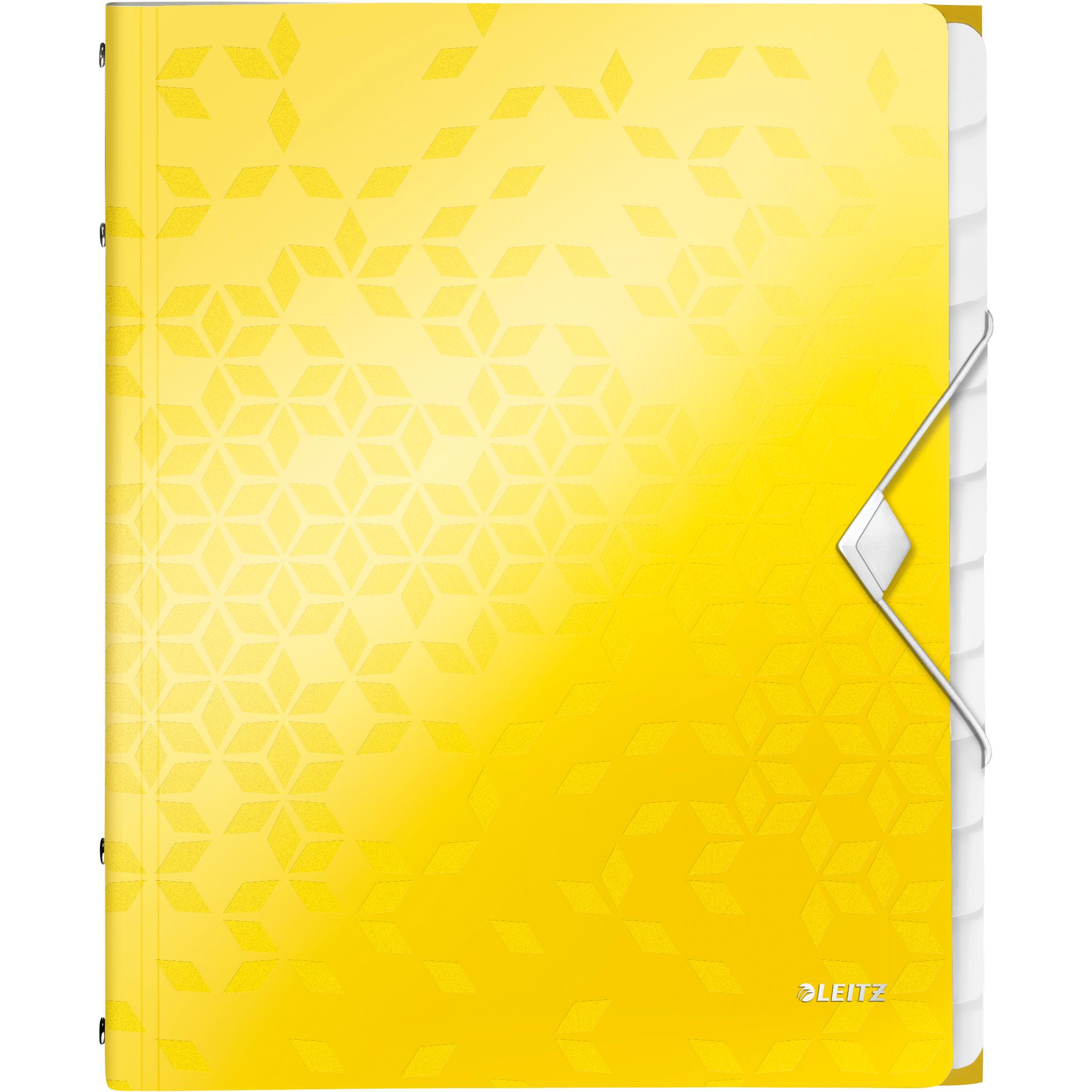 Leitz WOW - Ordner mit Abteilungen (A4, 1 x) (4634-00-16)