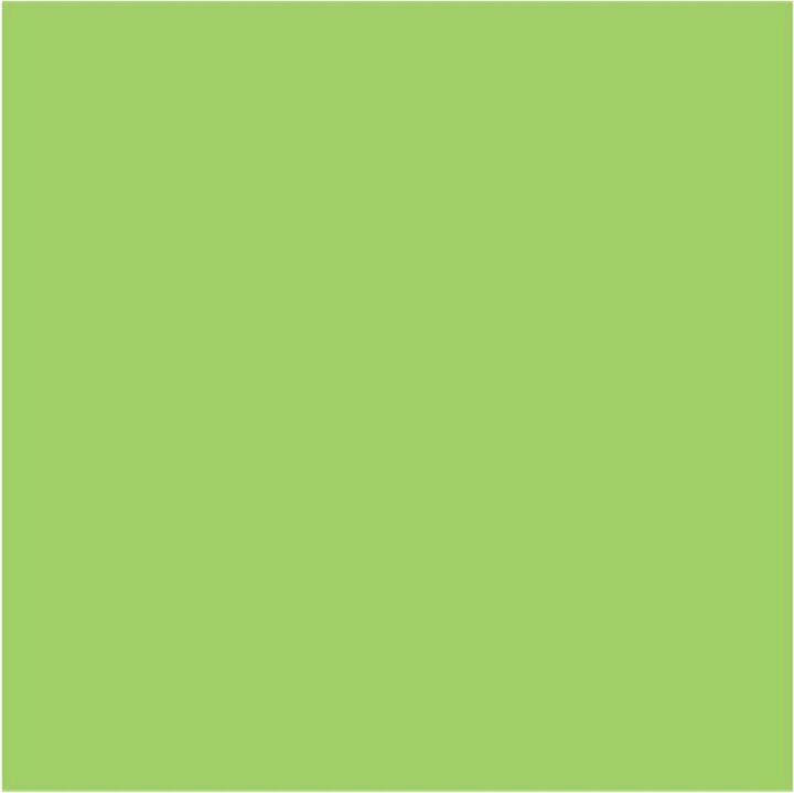 Image du produit Papyrus Papier Rainbow Vert A3 (A3, 250 feuilles, 160 g/m²)