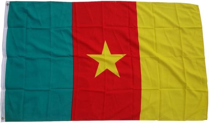 Image du produit trends4cents Drapeau Cameroun 90 x 150 cm Drapeau avec 2 oeillets 100g/m² poids du tissu Hissflag (90 x 150 cm)