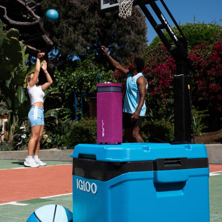 Image du produit JLab Audio JBUDS PARTY - Portable Speaker (12 h)