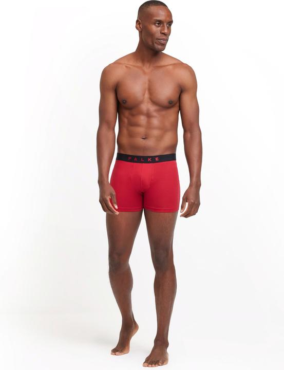 Produktbild Falke 2-Pack Herren (L, 2er Pack)