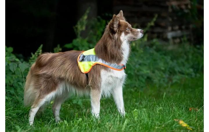 Immagine prodotto Grossenbacher Gilet di sicurezza Balou (S, Gilet per cani)