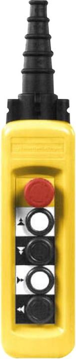Actual product image Schneider Electric Pendant station XACA49131