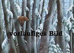 Produktbild Winter im Bärenwald