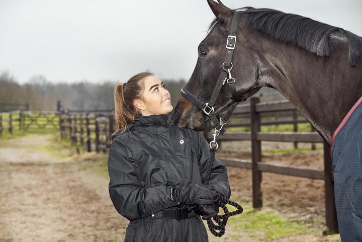 Image du produit Horse Guard Licol pour cheval en mesh