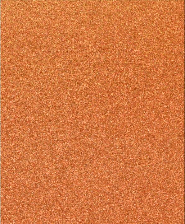 Image du produit Tecwerk Schleifpapier (40)