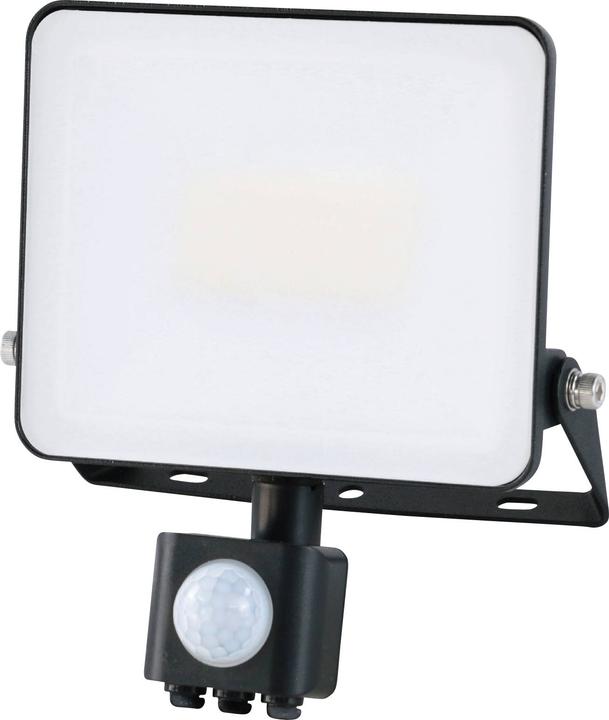 Image du produit Müller Licht Müller-Licht Miami 21600064 LED-Aussenstrahler 30 W Neutralweiss (4800 lm, IP44)