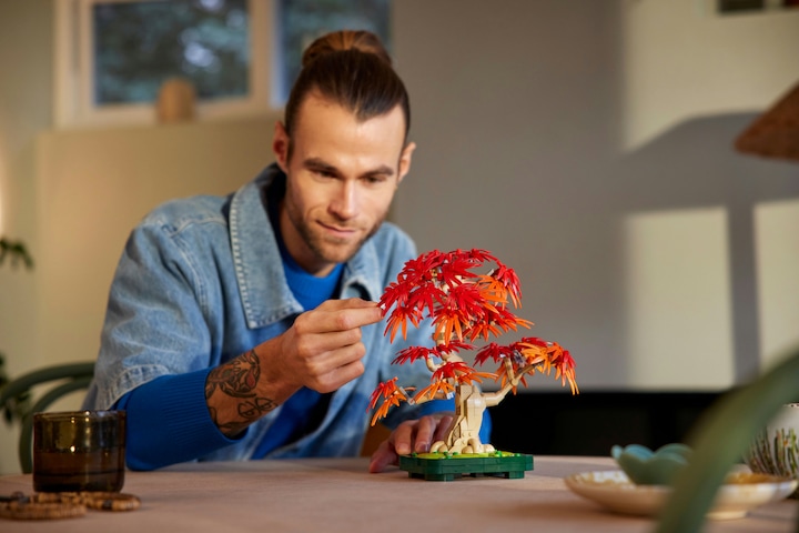 Actual product image LEGO Japanese red maple - bonsai tree (10348, LEGO Botanical)